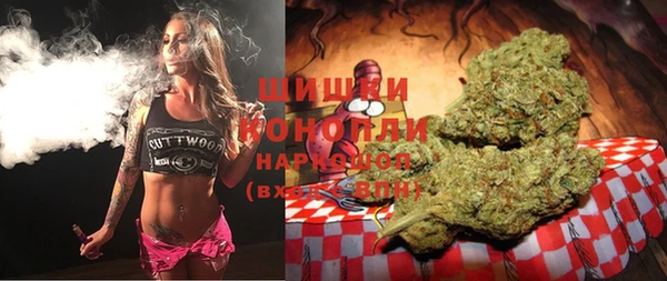 шишки Абинск