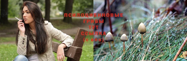 соль ск Алексин